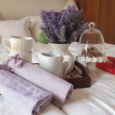 Guest house Zd City Zadar